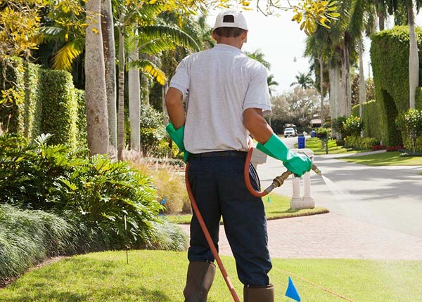 About Albin WY Pest Control